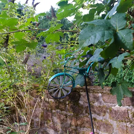 D'hote Odile Et Les Cycleux Lily 3* Docelles