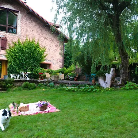 D'hote Odile Et Les Cycleux Lily Docelles