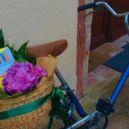 D'hote Odile Et Les Cycleux Lily