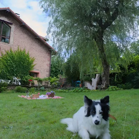 D'hote Odile Et Les Cycleux Lily Bed & Breakfast Docelles