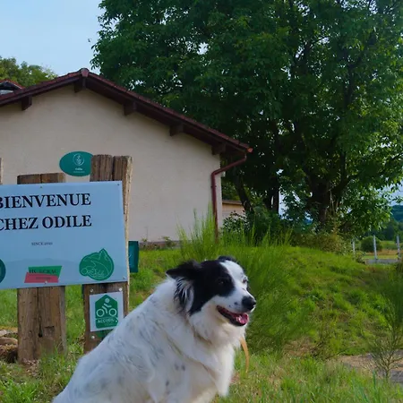 Bed & Breakfast D'hote Odile Et Les Cycleux Lily 3*