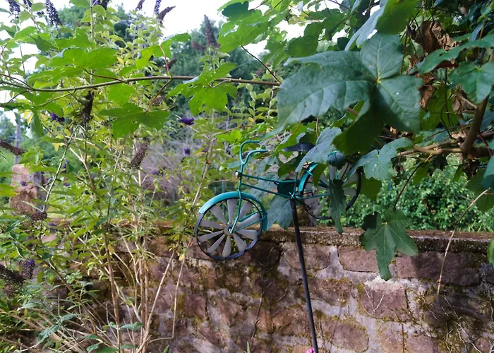 D'hote Odile Et Les Cycleux Lily 3* Docelles