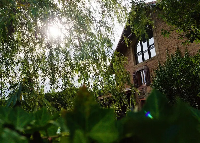 D'hote Odile Et Les Cycleux Lily