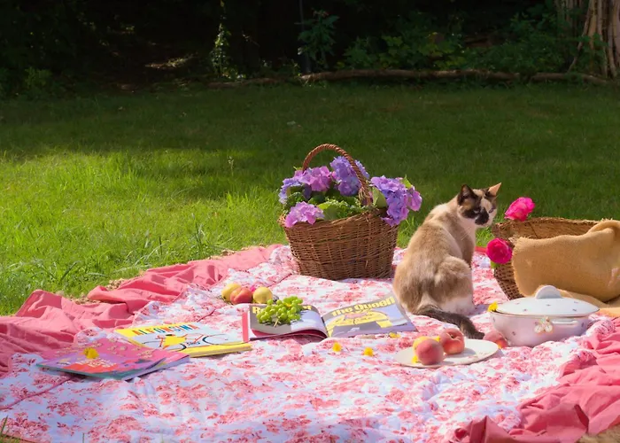 D'hote Odile Et Les Cycleux Lily 3*