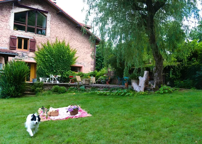 D'hote Odile Et Les Cycleux Lily Docelles