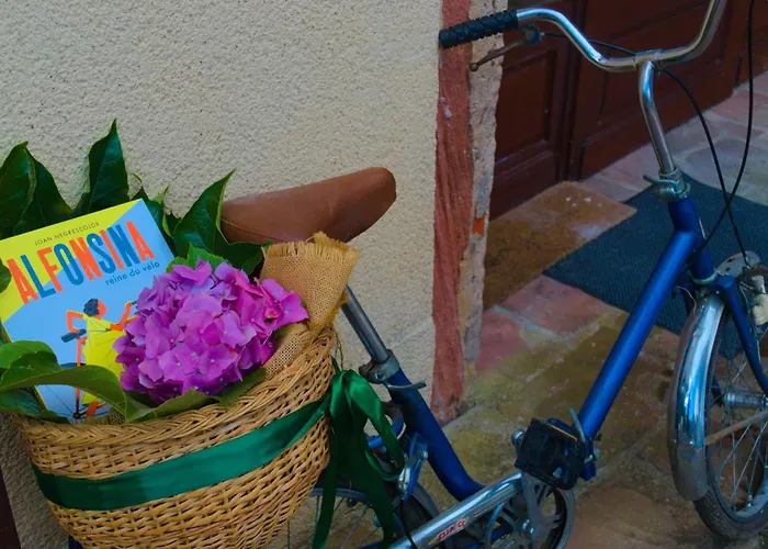 D'hote Odile Et Les Cycleux Lily