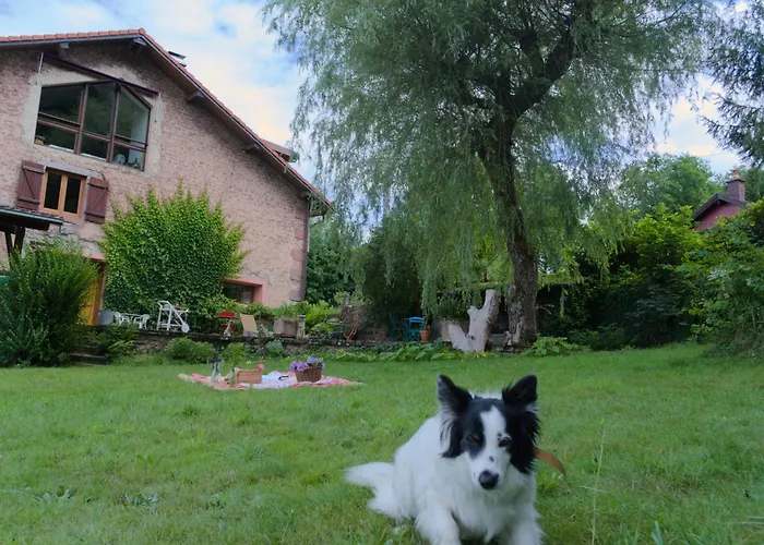 D'hote Odile Et Les Cycleux Lily Bed & Breakfast Docelles