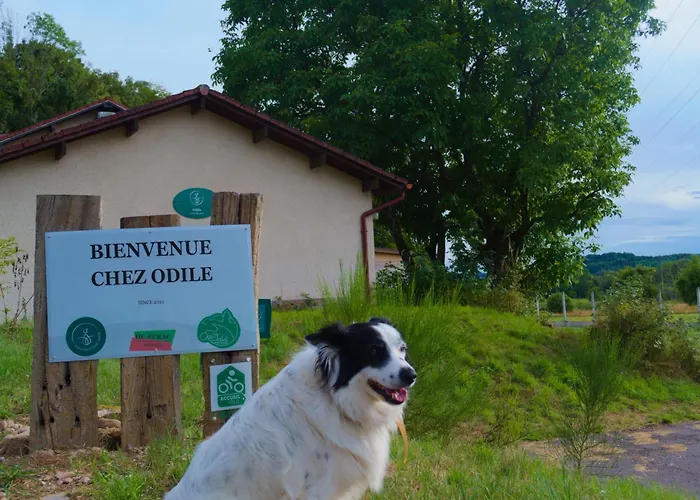 Bed & Breakfast D'hote Odile Et Les Cycleux Lily 3*