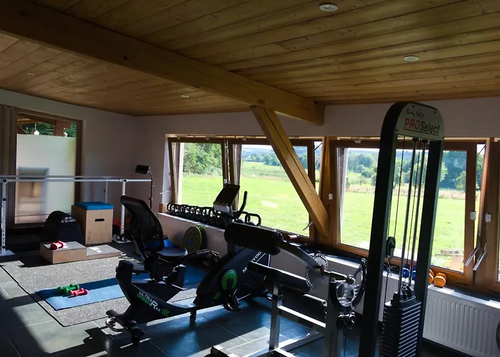 D'hote Odile Et Les Cycleux Lily 3* Docelles